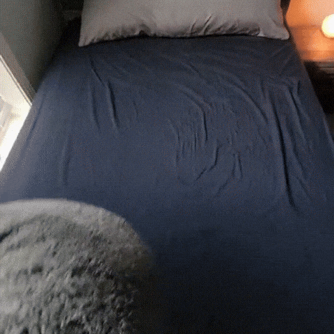 Die Liebe Decke, wasserdichte Intimitätsdecke